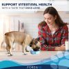 Active Dog Intestinal 6lb